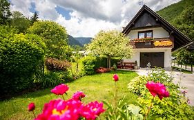 Apartma Boltar