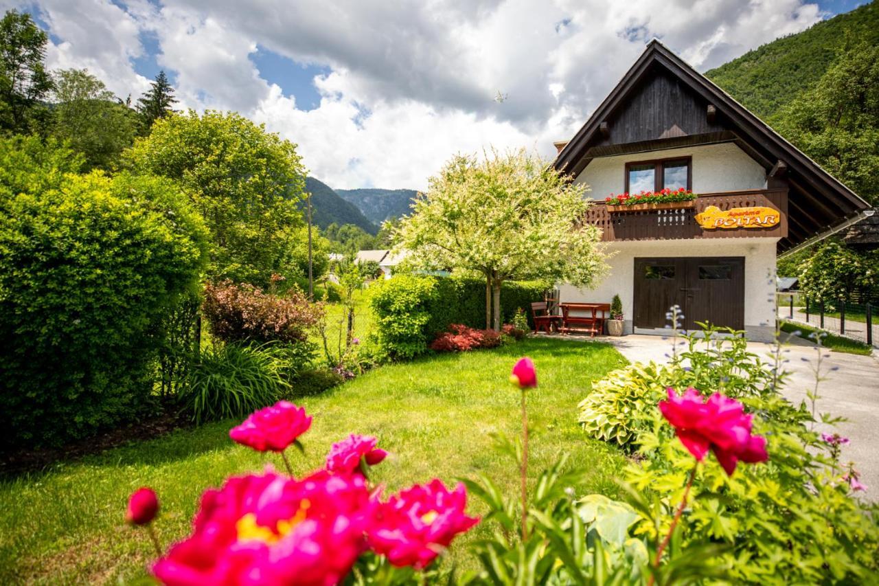 Apartma Boltar Bohinj Exteriér fotografie
